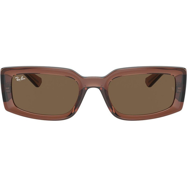 Ray-Ban Kiliane RB4395 - Transparent Brown/Dark Brown Lenses