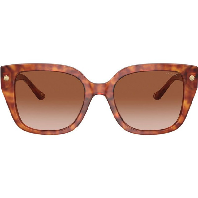 Coach HC8392U - Caramel Tortoise/Brown Gradient Lenses