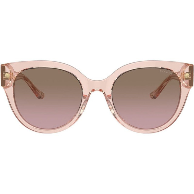 Coach HC8393U - Transparent Dusty Rose/Brown Pink Gradient Lenses