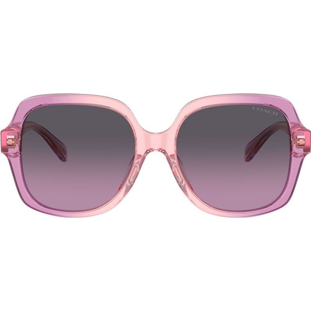 Coach HC8395F - Amethyst Pink Gradient/Purple Gradient Lenses