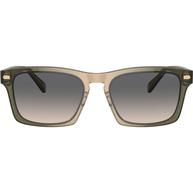 Coach HC8398U - Olive Tan Gradient/Green Sand Gradient Lenses