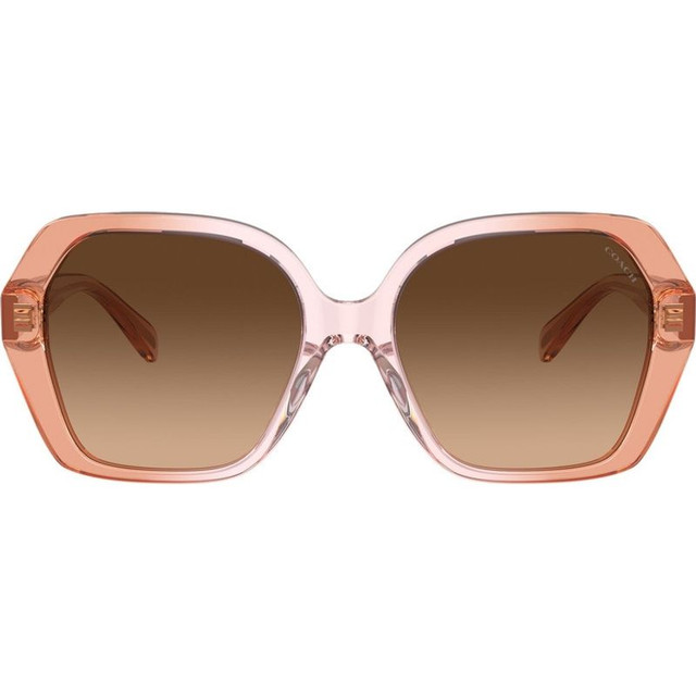 Coach HC8404U - Saddle Dusty Rose Gradient/Brown Gradient Lenses