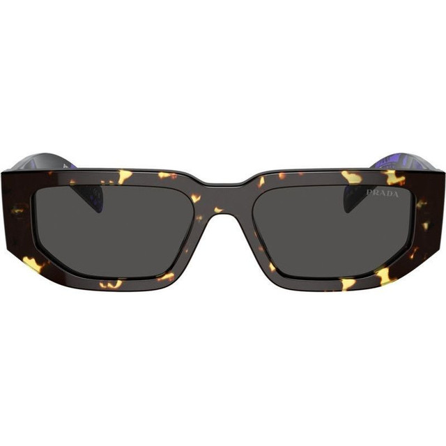 Prada PR09ZS - Tortoise Black Malt/Dark Grey Lenses