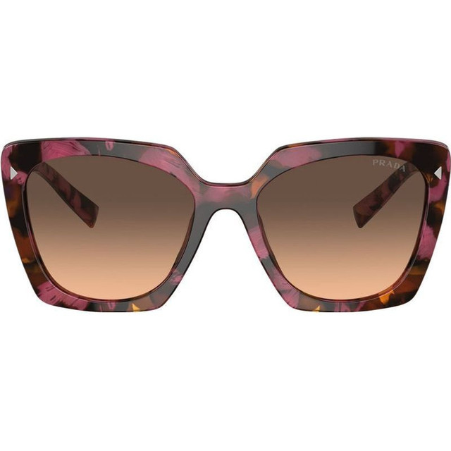 PR23ZS - Begonia Cognac Tortoise/Brown and Grey Gradient Lenses