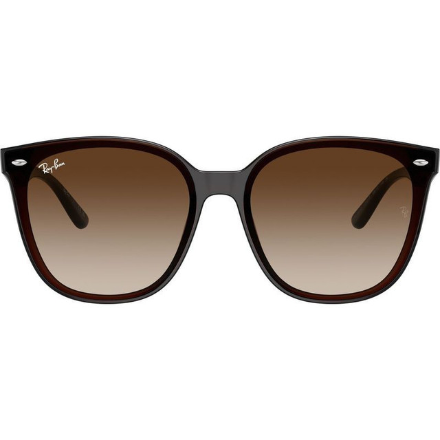 Ray-Ban RB4423D - Transparent Brown/Brown Gradient Lenses