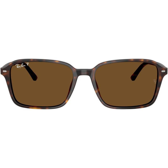 Ray-Ban Raimond RB2231 - Havana/Brown Glass Polarised Lenses 56 Eye Size