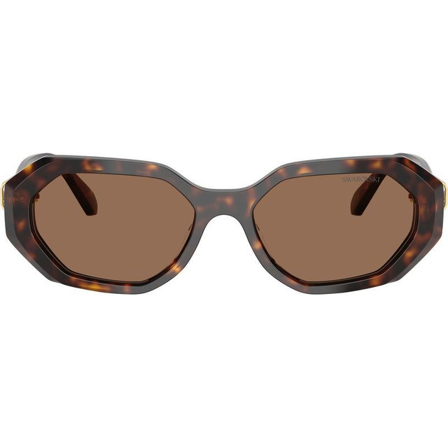 Swarovski SK6028 - Dark Havana/Dark Brown Lenses