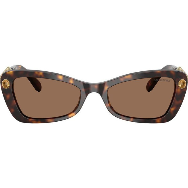 Swarovski SK6033 - Havana/Dark Brown Lenses