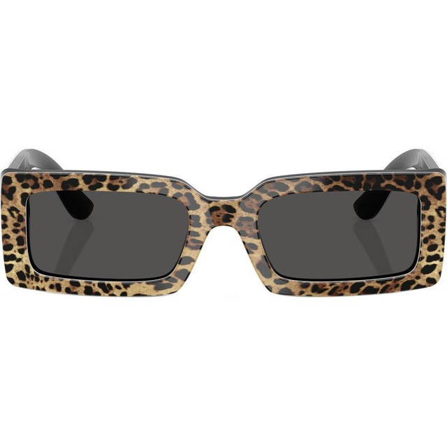 Dolce & Gabbana DG4416 - Leopard/Dark Grey Lenses