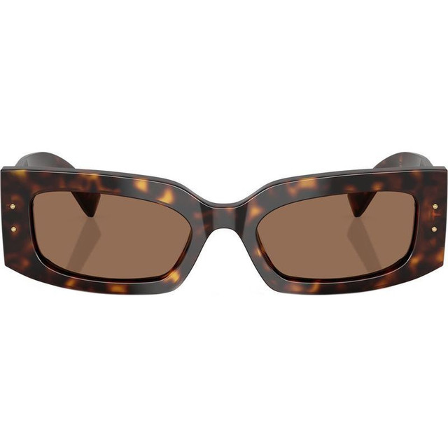 Dolce & Gabbana DG4479 - Havana/Dark Brown Lenses