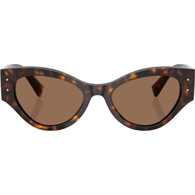 Dolce & Gabbana DG4480 - Havana/Dark Brown Lenses