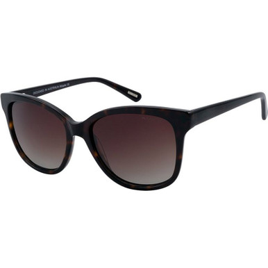 Tort/Brown Gradient Polarised Lenses