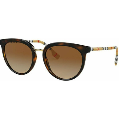 Willow BE4316 - Dark Havana/Brown Gradient Polarised Lenses