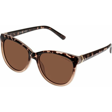/cancer-council-sunglasses/calwell-2003407