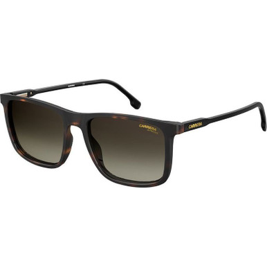 CARRERA 231/S Sunglasses Dark Havana Brown Lens Unisex NWT + Case Dust Cloth Carrera-231S-Dark-HavanaBrown-  main image 2