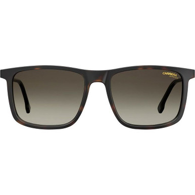 Carrera-231S-Dark-HavanaBrown- 