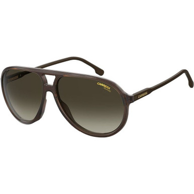 Carrera 237/S, Brown/Brown Gradient Lenses