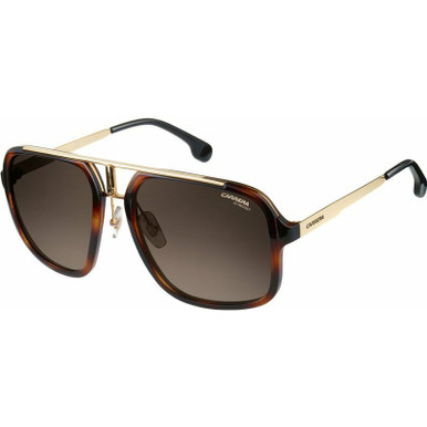 Carrera 1004/S - Havana, Gold/Brown Gradient Lenses