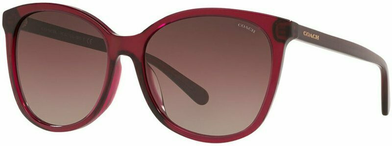 Buy Coach 8271U Transparent Burgundy/Burgundy | Afterpay