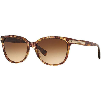 Coach 8132 - Light Tort/Brown Gradient Lenses