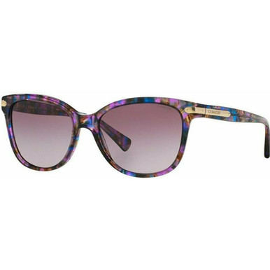 Coach 8132 - Confetti Purple/Purple Gradient Lenses