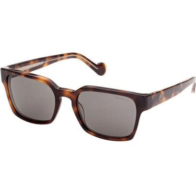 Moncler ML0143 - Havana/Smoke Lenses