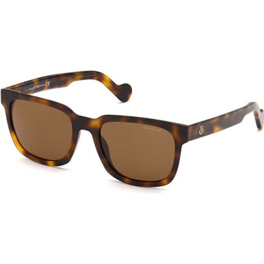 Moncler ML0174 - Dark Havana/Brown Polarised Lenses