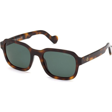 Moncler ML0176 - Dark Havana/Green Polarised Lenses