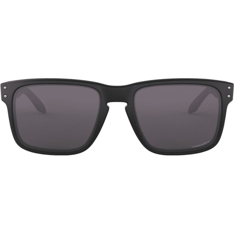ray ban erika black