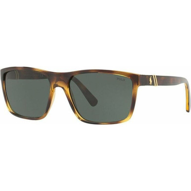 Polo Ralph Lauren PH4133 - Havana/Green Lenses