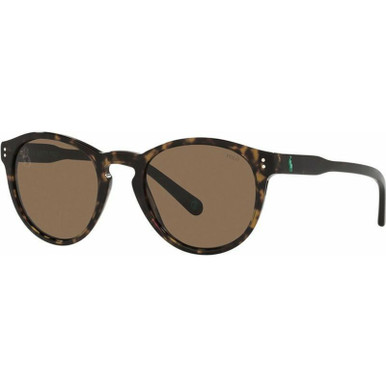 PH4172 - Dark Havana/Brown Lenses