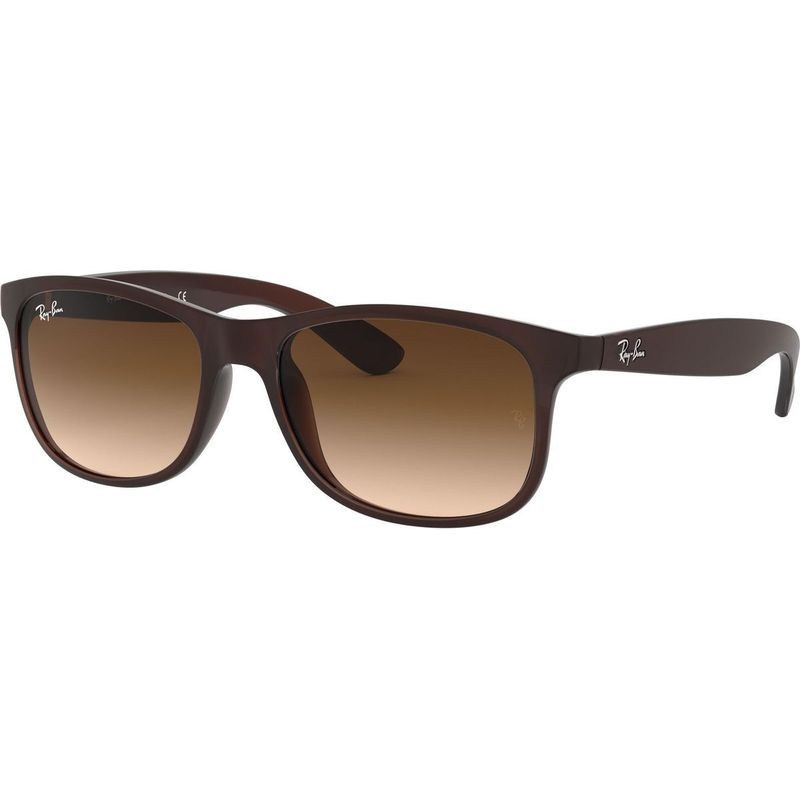 Ray-Ban Andy RB4202