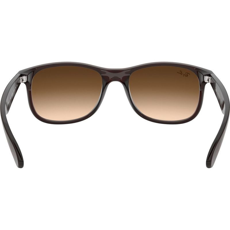 Ray-Ban Andy RB4202