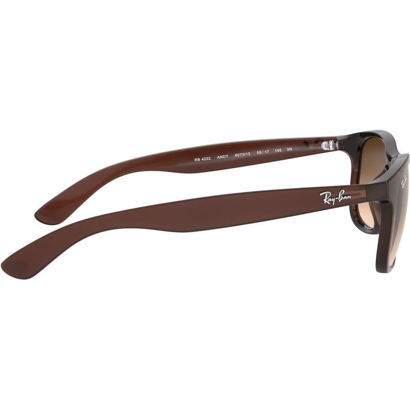 Ray-Ban Andy RB4202