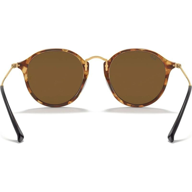 Ray-Ban Round RB2447