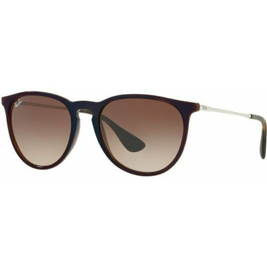 /ray-ban-sunglasses/erika-classic-rb4171-417163151354/