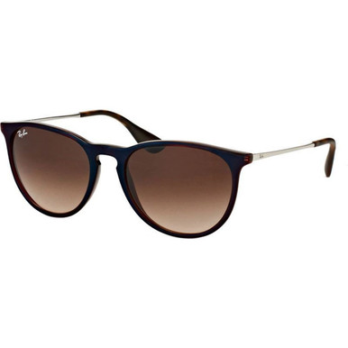 /ray-ban-sunglasses/erika-classic-rb4171-417163151354