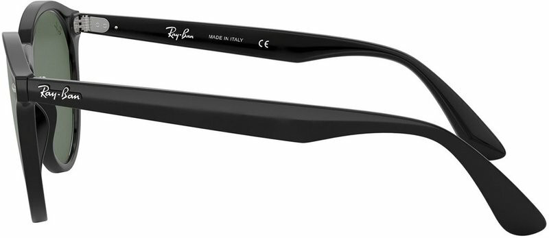 Ray-Ban Blaze Panthos RB4380N