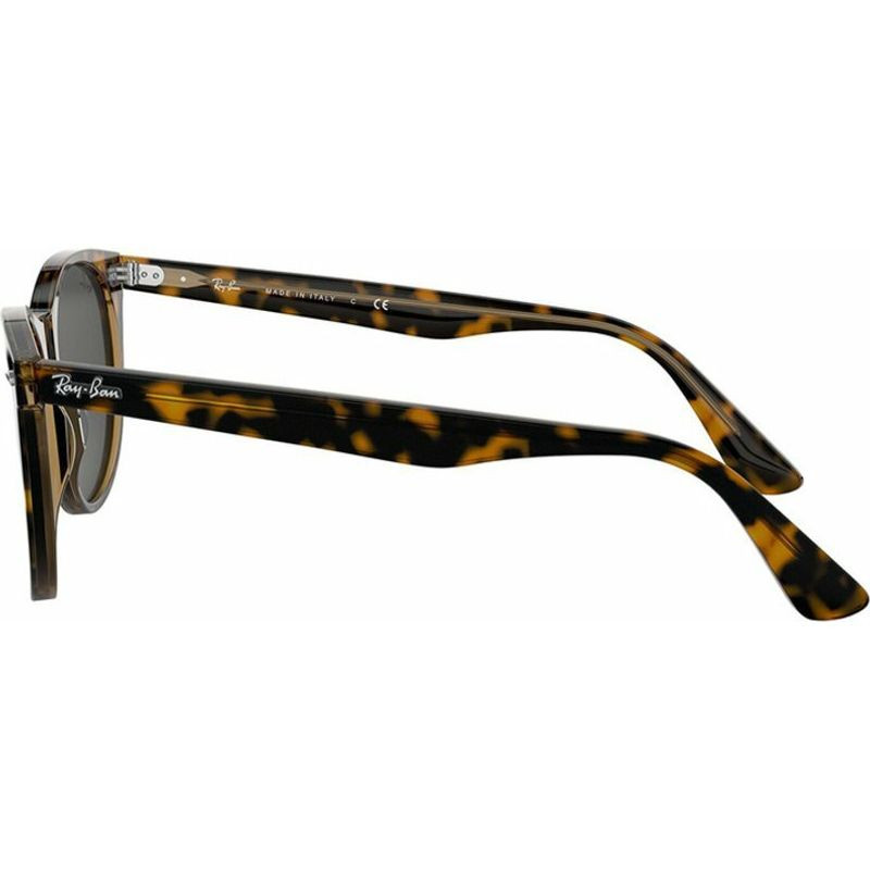 Ray-Ban Wayfarer II Classic RB2185