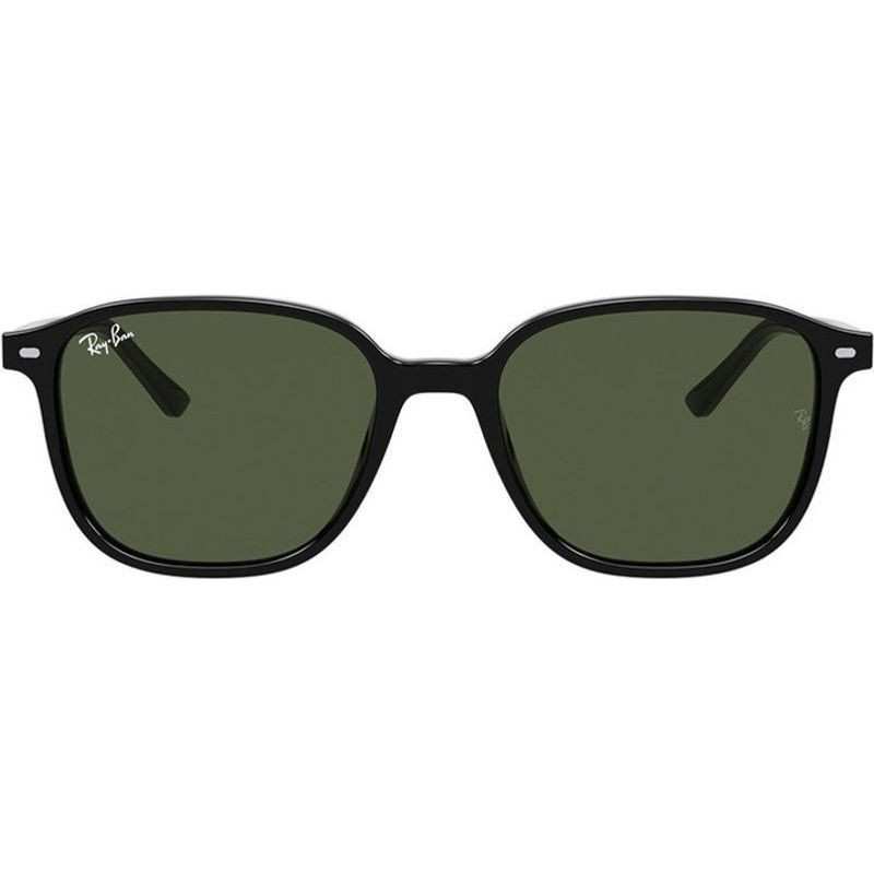 Ray-Ban Leonard RB2193