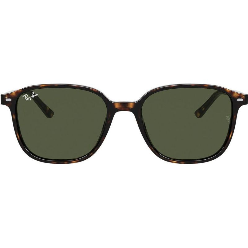 Ray-Ban Leonard RB2193