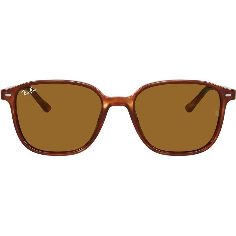 Ray-Ban Leonard RB2193