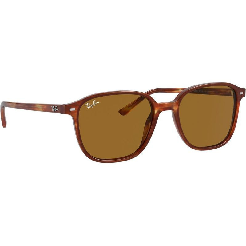 Ray-Ban Leonard RB2193