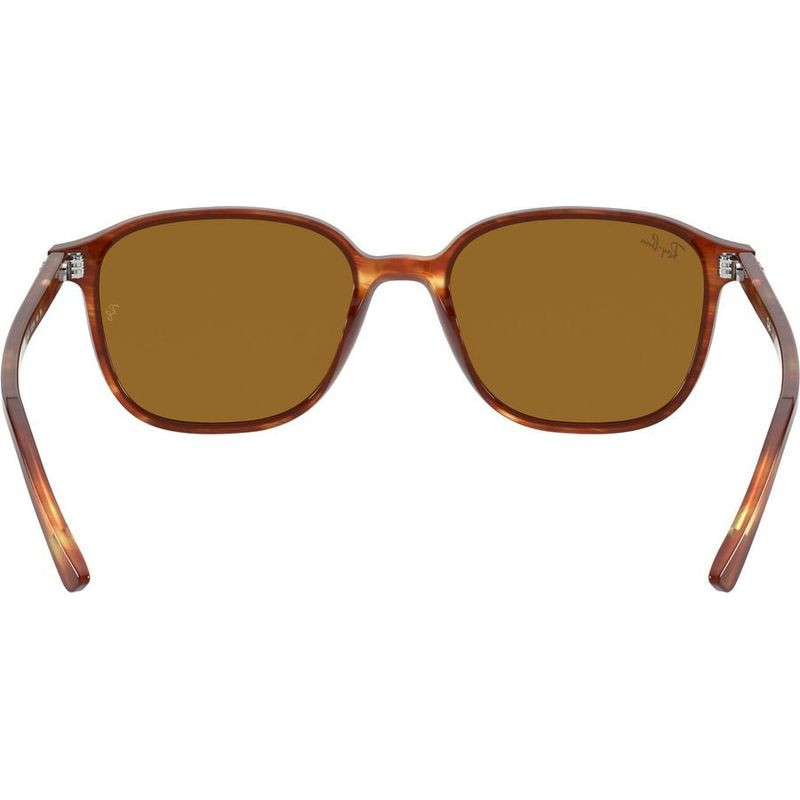 Ray-Ban Leonard RB2193