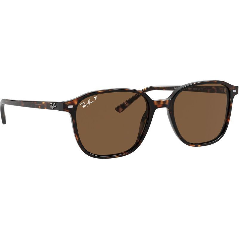 Ray-Ban Leonard RB2193