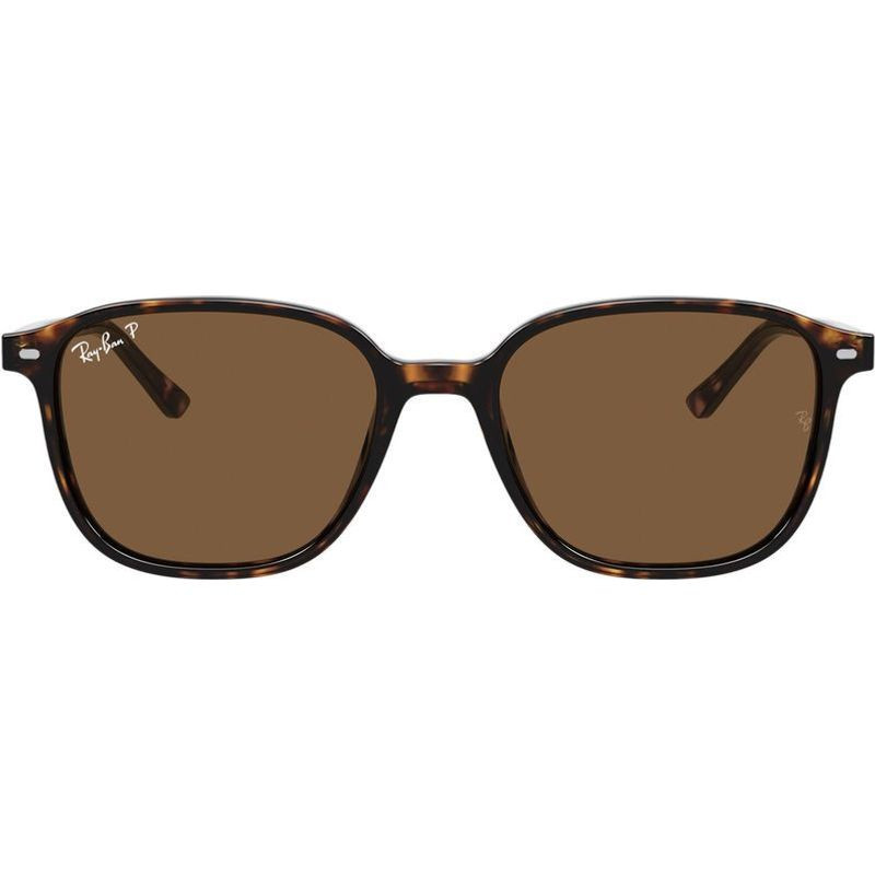 Ray-Ban Leonard RB2193