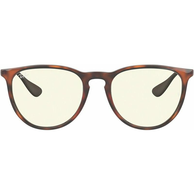 Ray-Ban Erika Classic RB4171