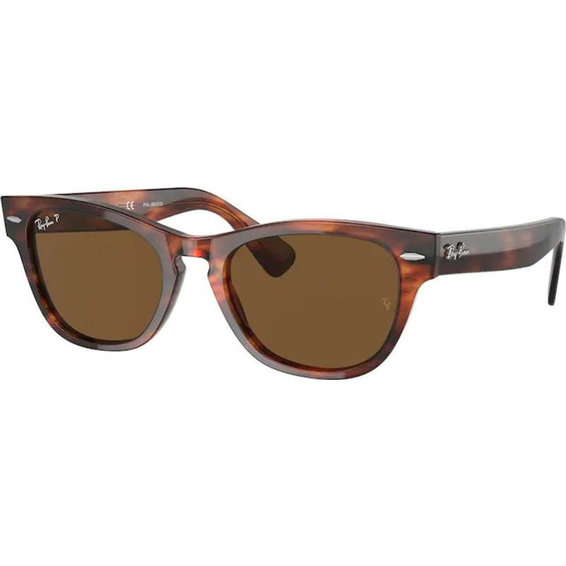 Ray-Ban Laramie RB2201