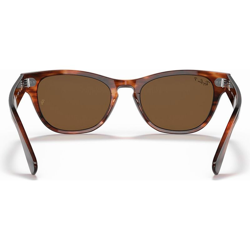 Ray-Ban Laramie RB2201