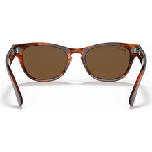 Ray-Ban Laramie RB2201 Sunglasses Havana/Brown Polarised display picture 3
